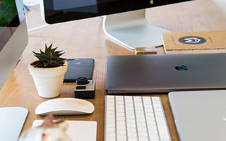 凭票根吃喝玩乐！春节消费新线索，搜查官在线观看