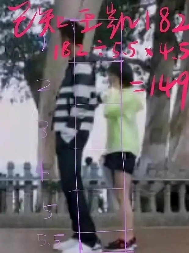 朱茵身高153cm演技颜值惊艳_女明星身高与颜值不匹配_娱乐圈哪些女名星很矮